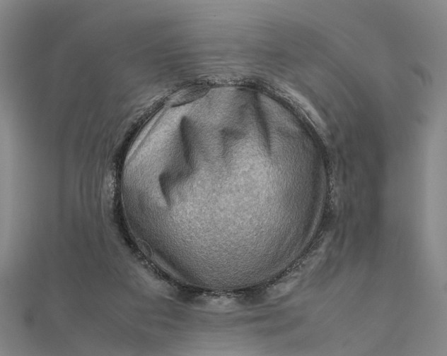 X0000112090113200908251136