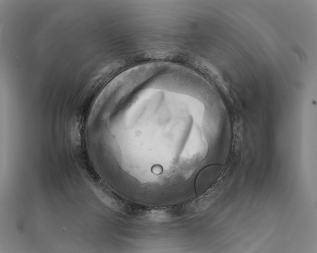 X0000112090114200908251136