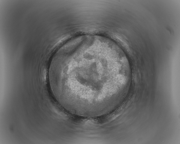 X0000112090115200908251136