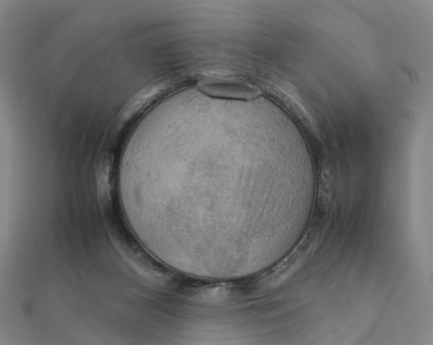 X0000112090116200908251136
