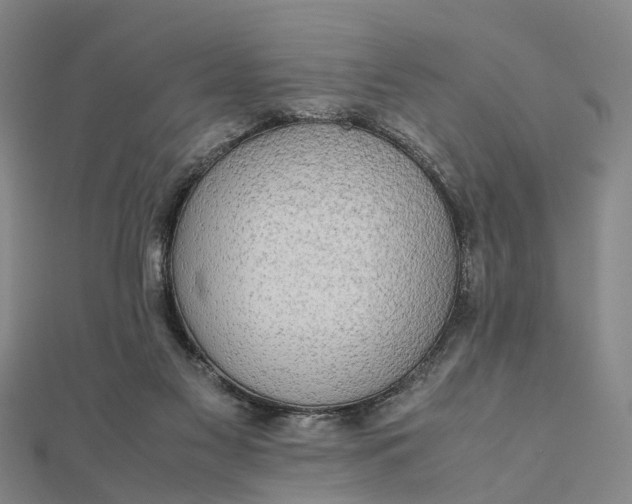 X0000112090117200908251136