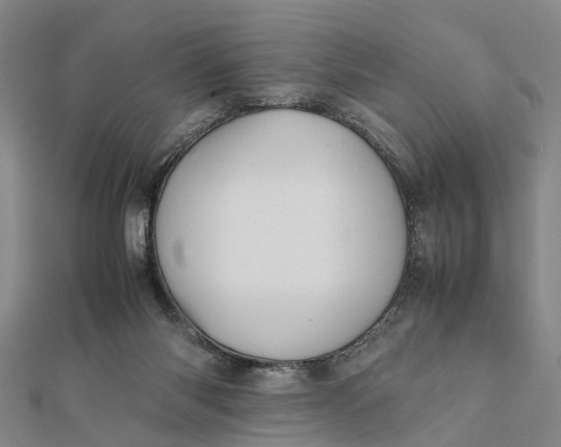 X0000112090118200908251136