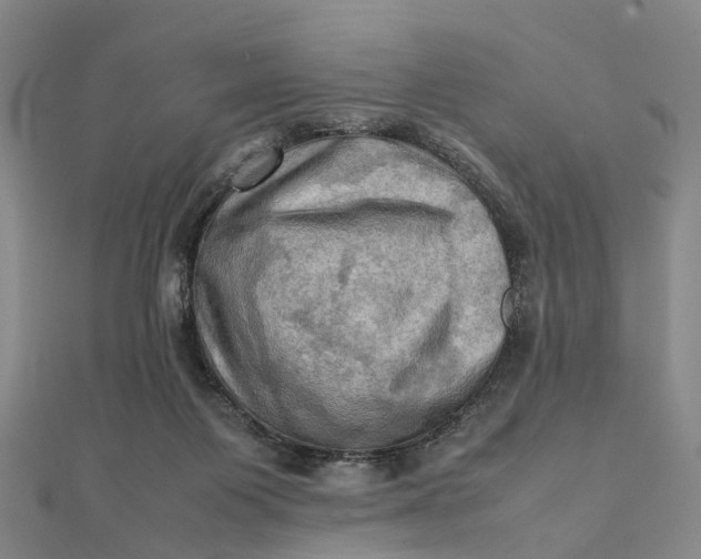 X0000112090119200908251136