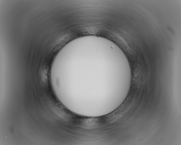 X0000112090122200908251136