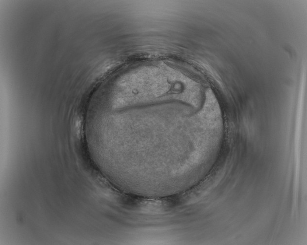 X0000112090123200908251136