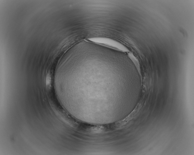 X0000112090124200908251136