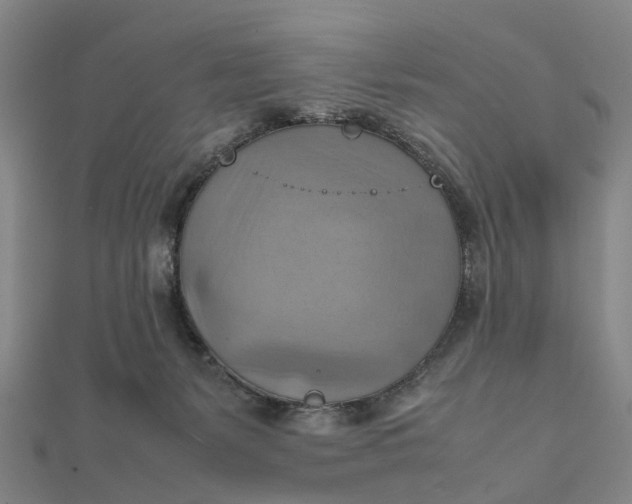 X0000112090127200908251135