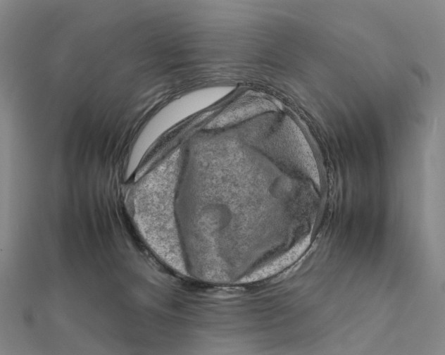 X0000112090128200908251135