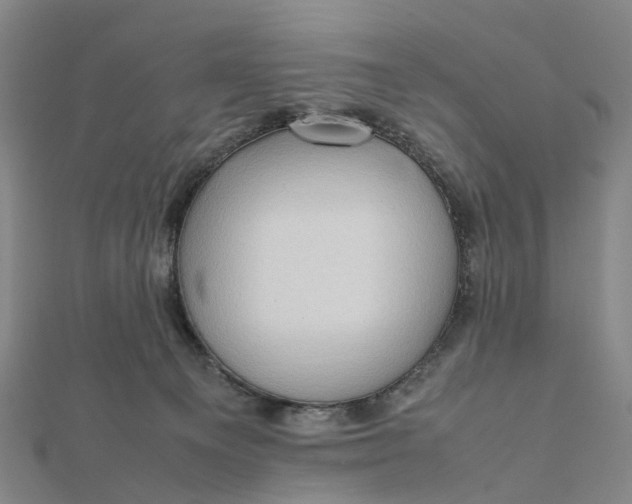 X0000112090129200908251135