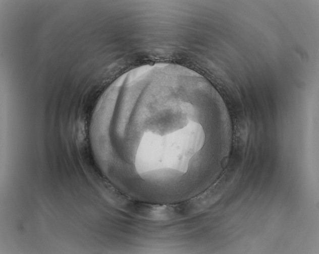 X0000112090130200908251135