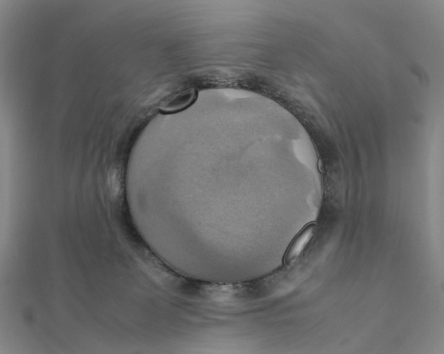 X0000112090131200908251135