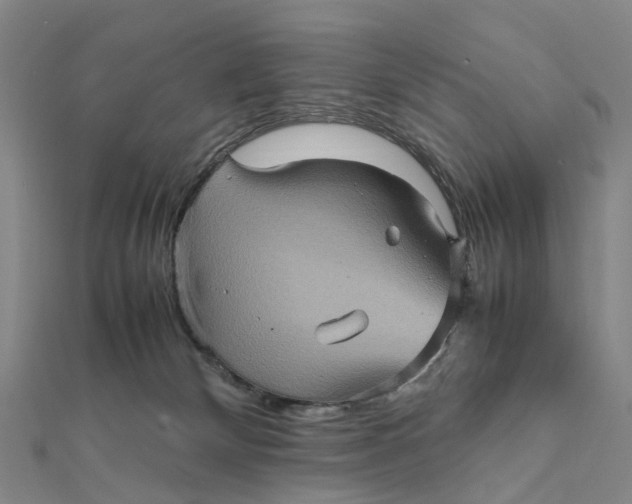X0000112090132200908251135