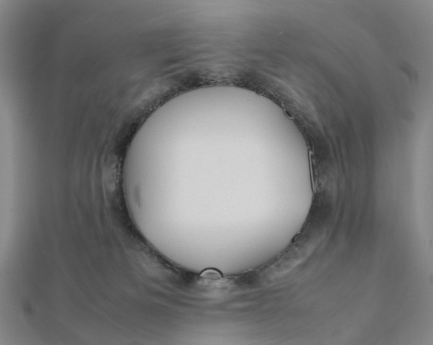 X0000112090133200908251135