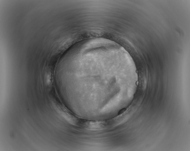 X0000112090134200908251135