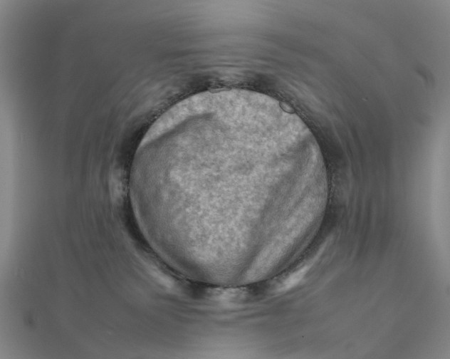 X0000112090135200908251135