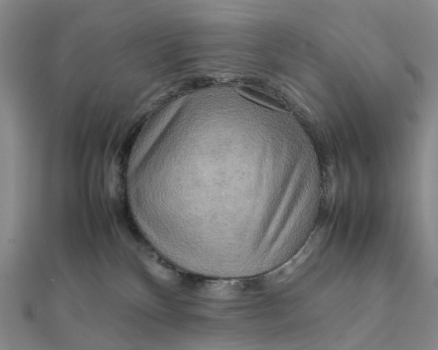 X0000112090136200908251135