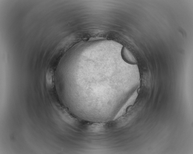 X0000112090138200908251135
