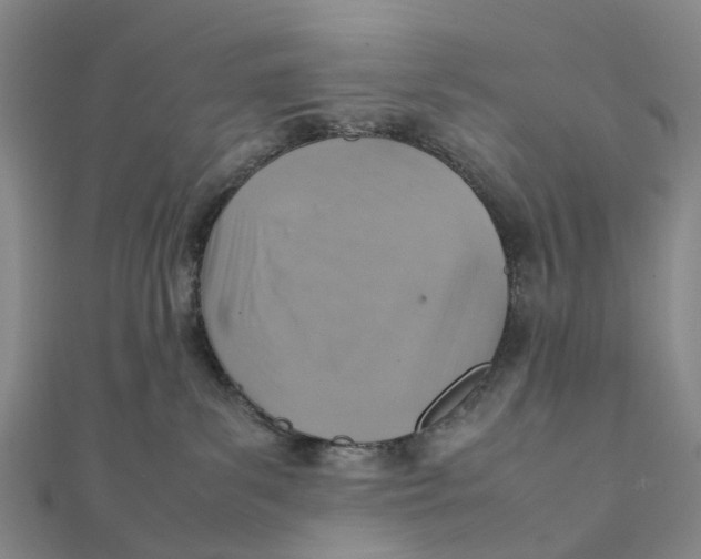 X0000112090139200908251135