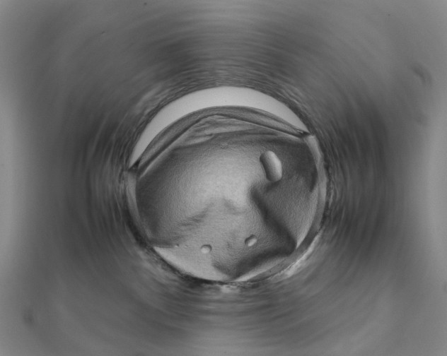 X0000112090140200908251135