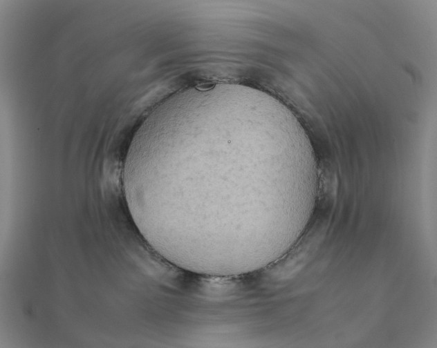 X0000112090141200908251135