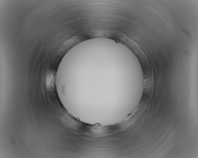 X0000112090142200908251135