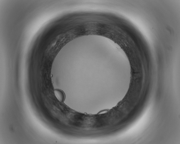 X0000112090143200908251135