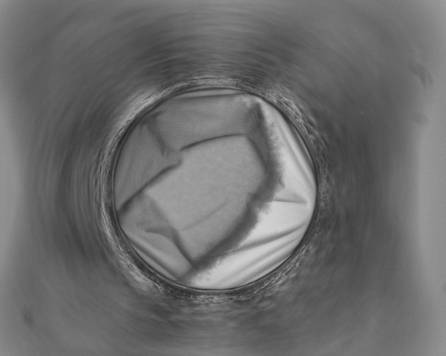 X0000112090145200908251135
