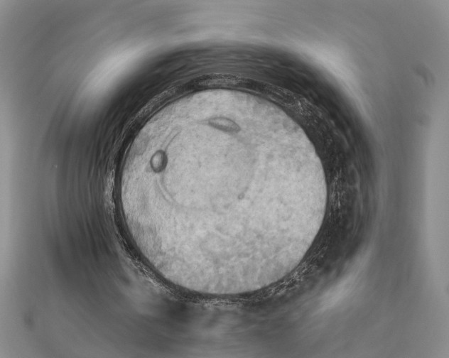 X0000112090146200908251135