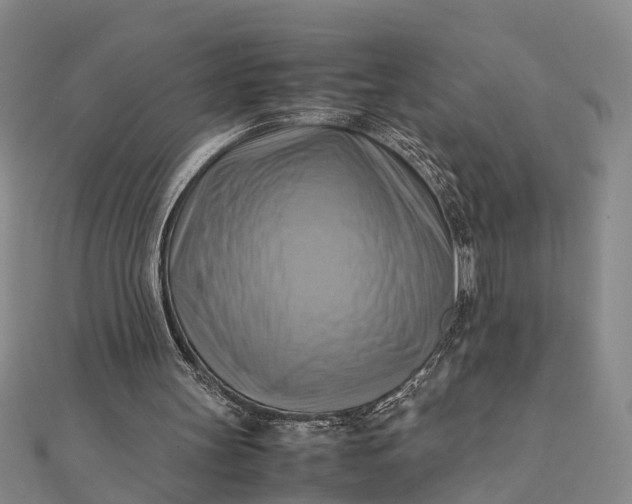 X0000112090147200908251135