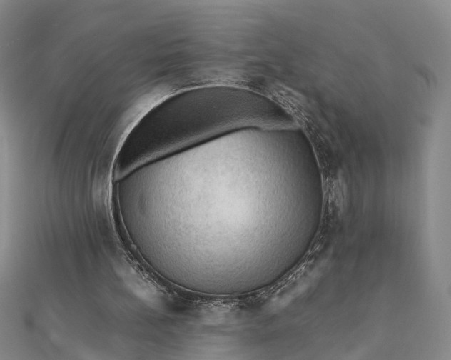 X0000112090148200908251135