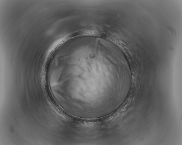 X0000112090149200908251135