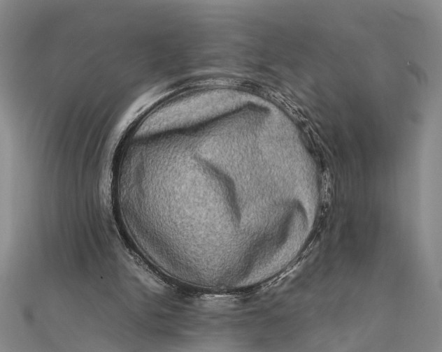 X0000112090150200908251135