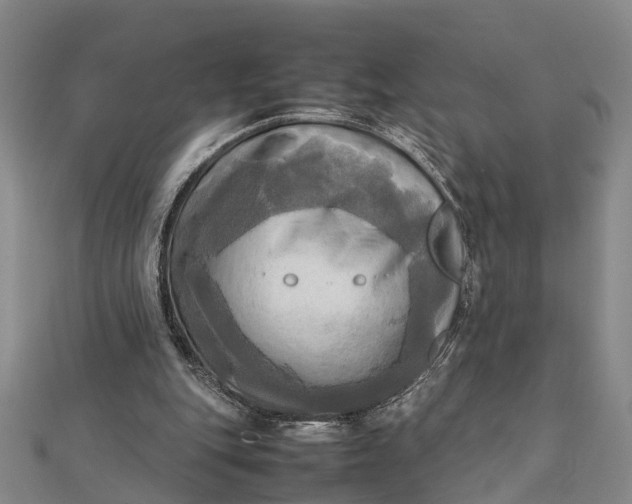 X0000112090151200908251135