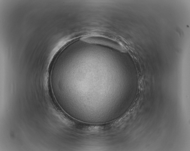 X0000112090152200908251135