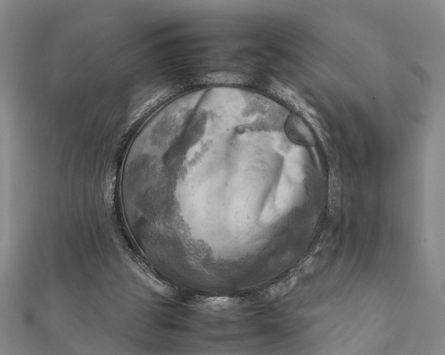 X0000112090153200908251135