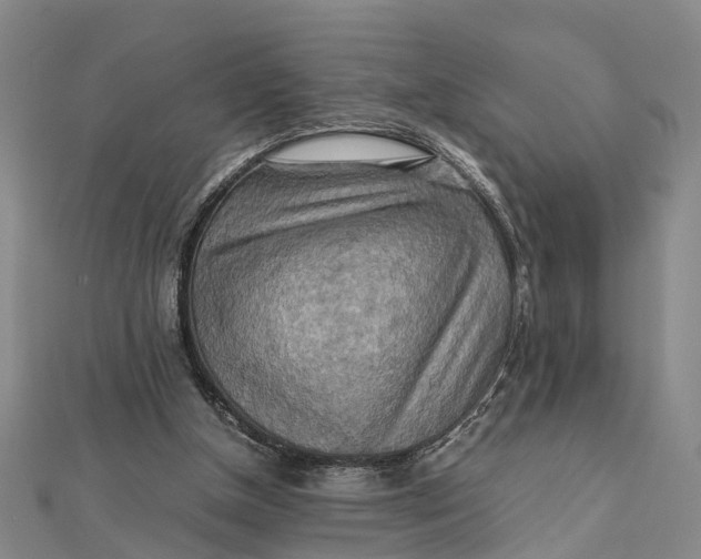 X0000112090154200908251135