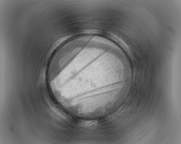 X0000112090155200908251135