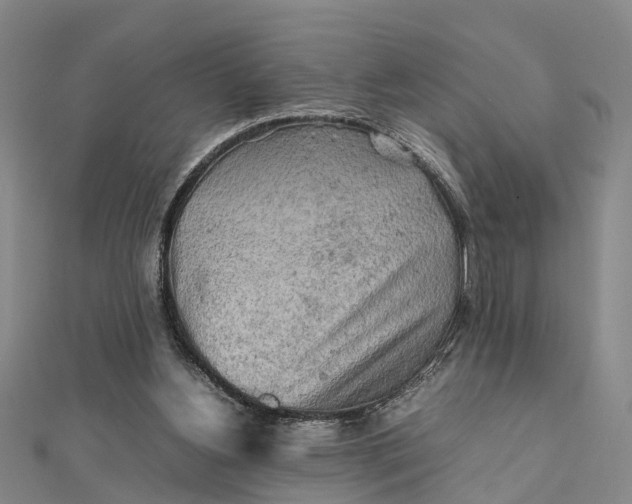 X0000112090156200908251135