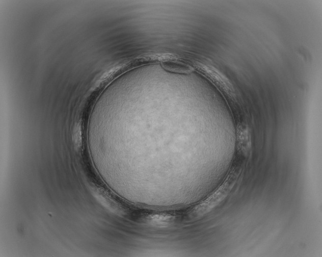 X0000112090158200908251135