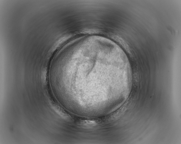X0000112090159200908251135