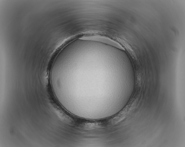 X0000112090160200908251135