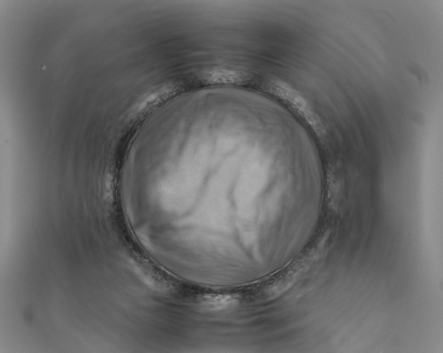 X0000112090161200908251135