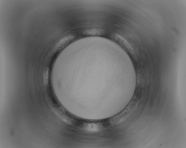 X0000112090163200908251135