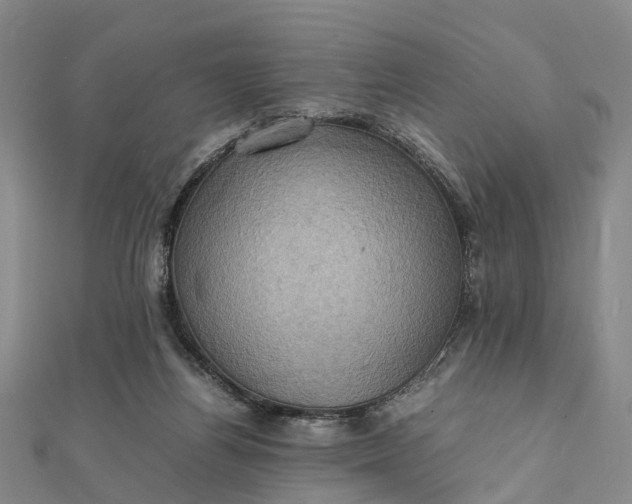 X0000112090164200908251135