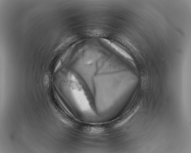X0000112090165200908251135