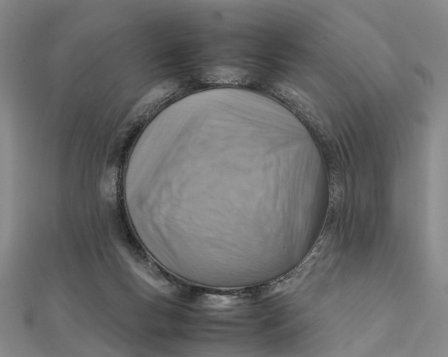 X0000112090167200908251135