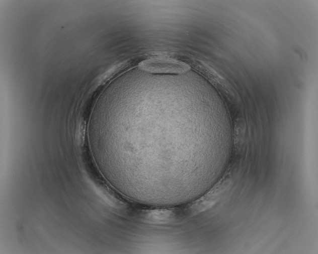 X0000112090168200908251135
