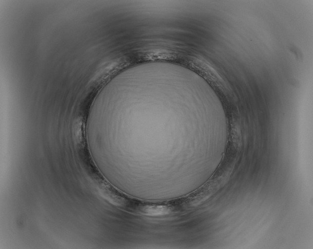 X0000112090169200908251135