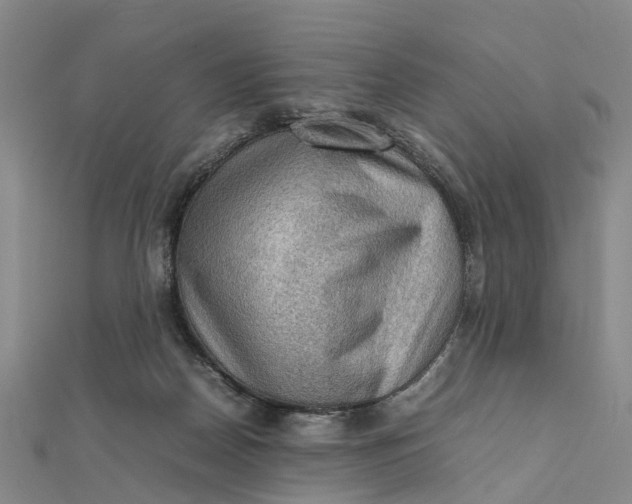 X0000112090170200908251135