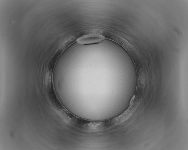 X0000112090172200908251135